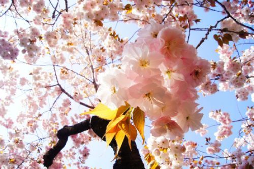 活動花絮範例